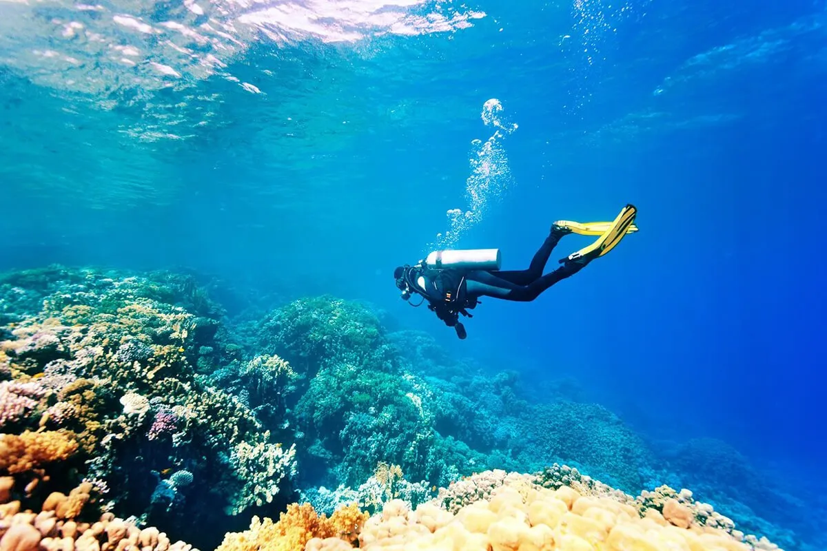 Discover Scuba Diving