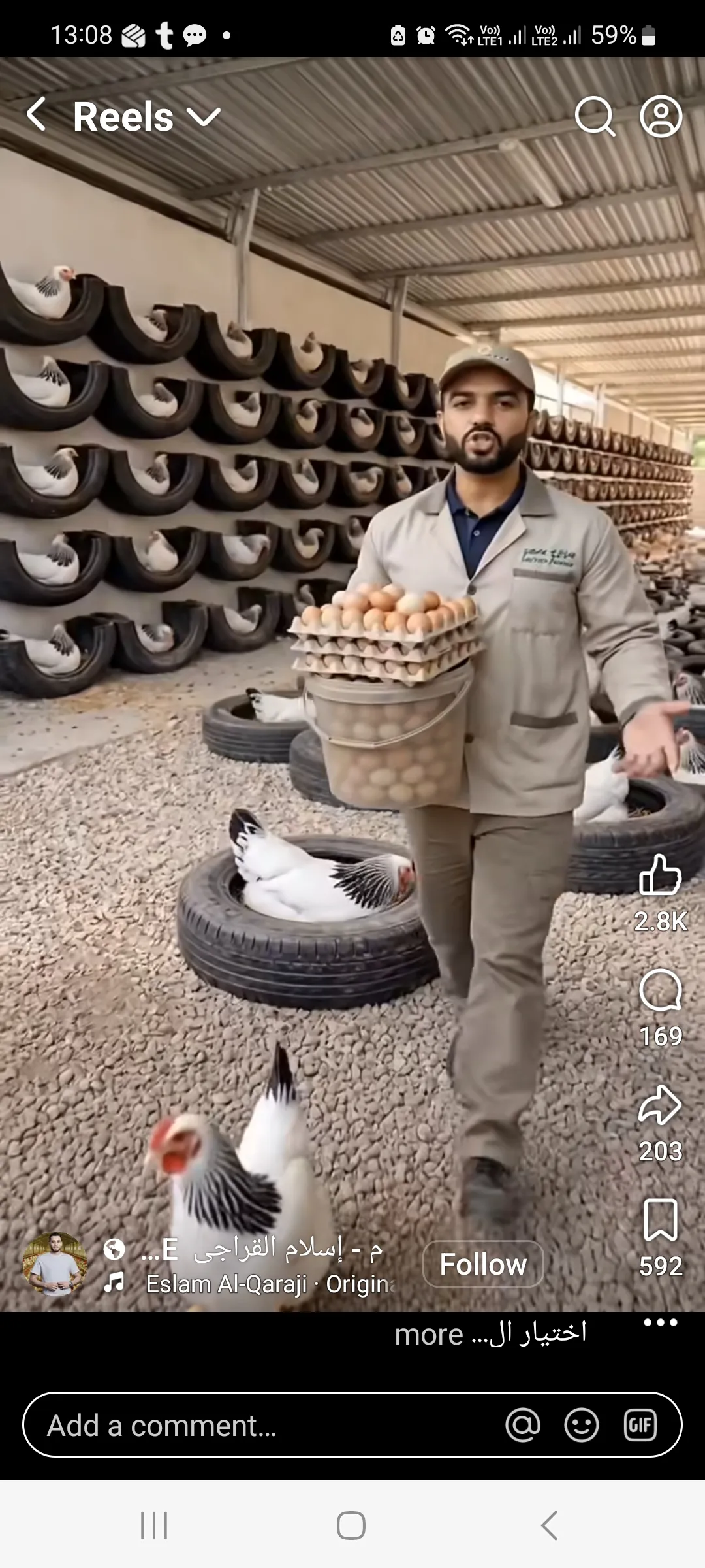 فافا