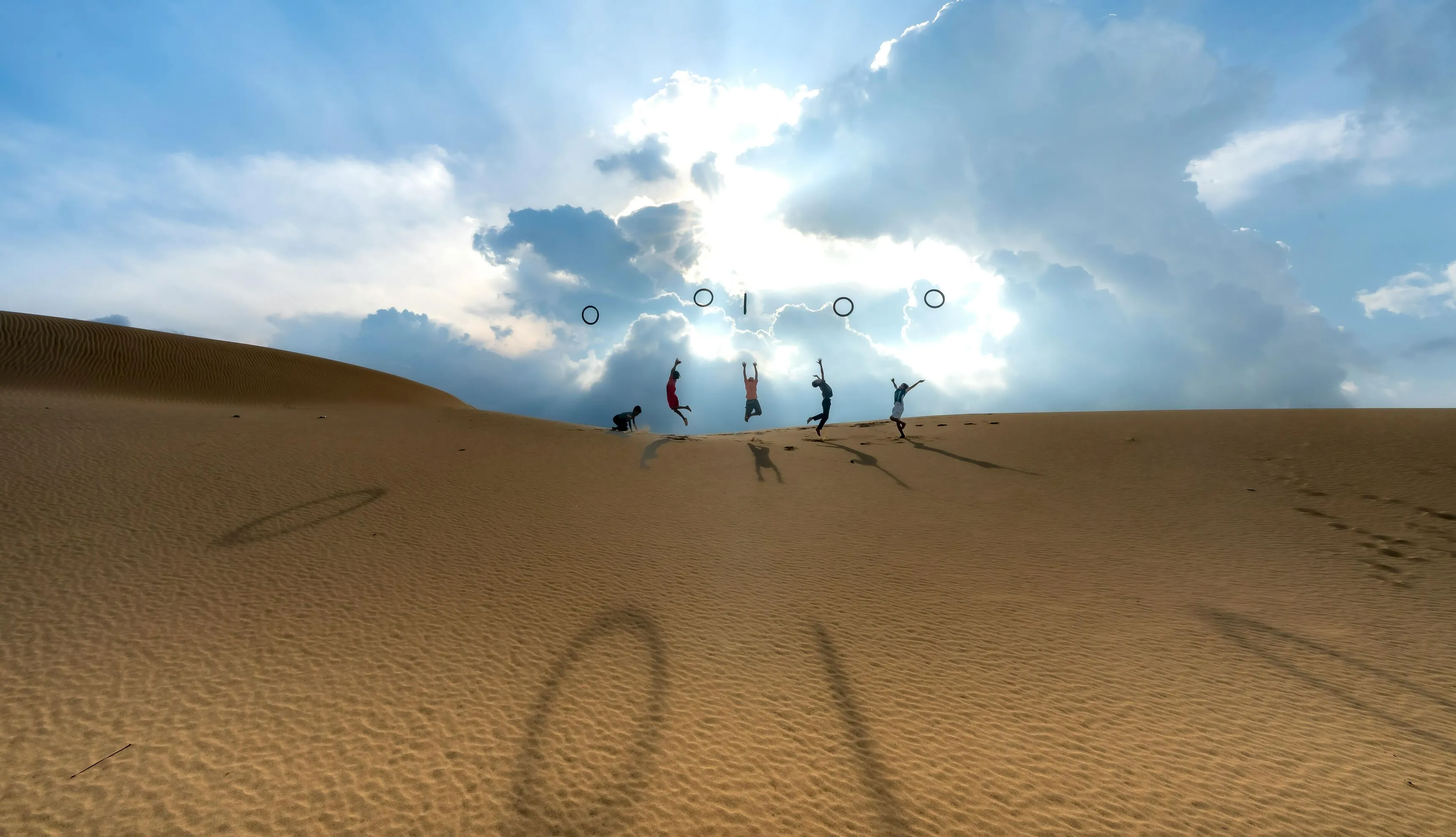Full-Day Desert Safari (6 pax)